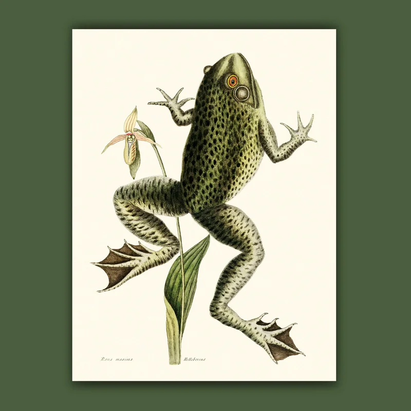 cartopolo1295033