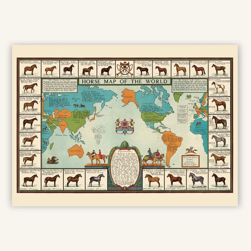 cartopolo1295902