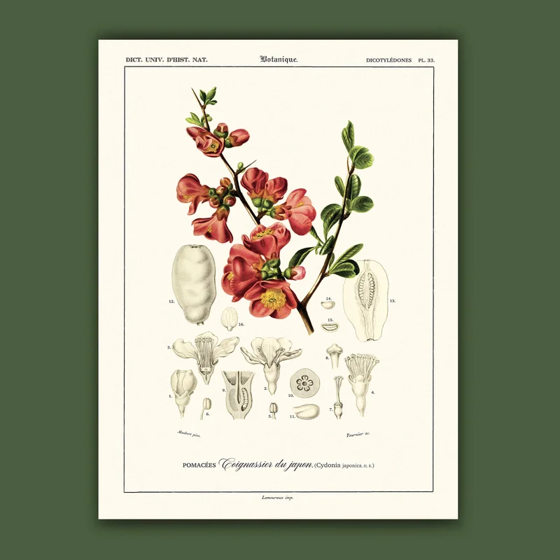 cartopolo1298051