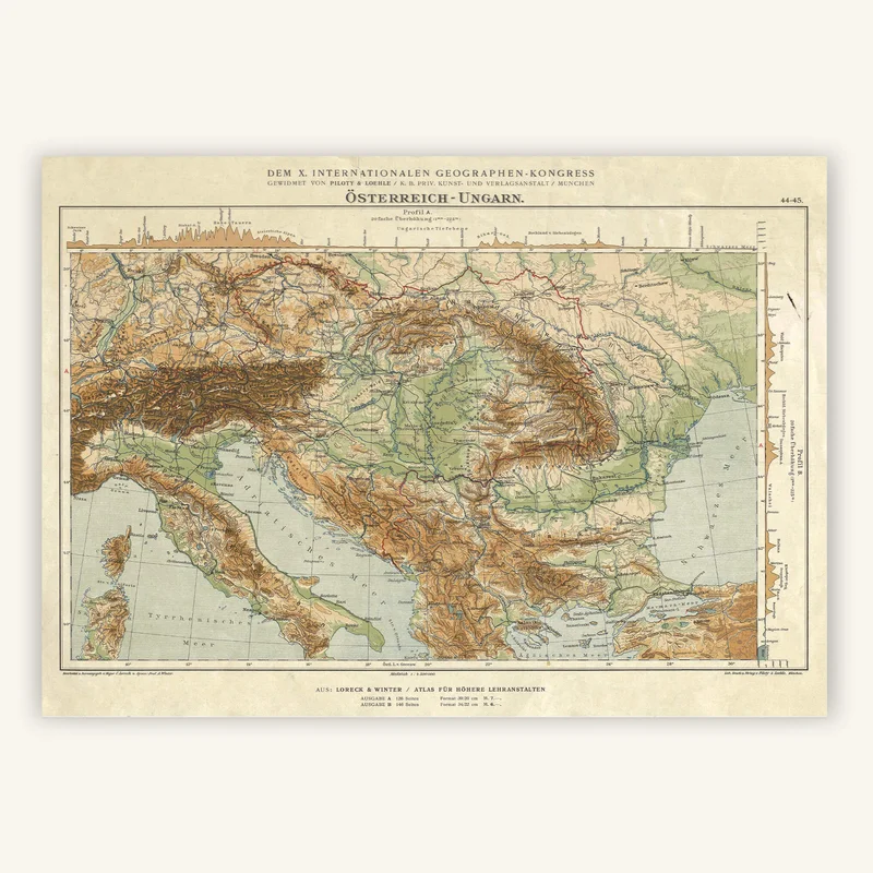 cartopolo1300520