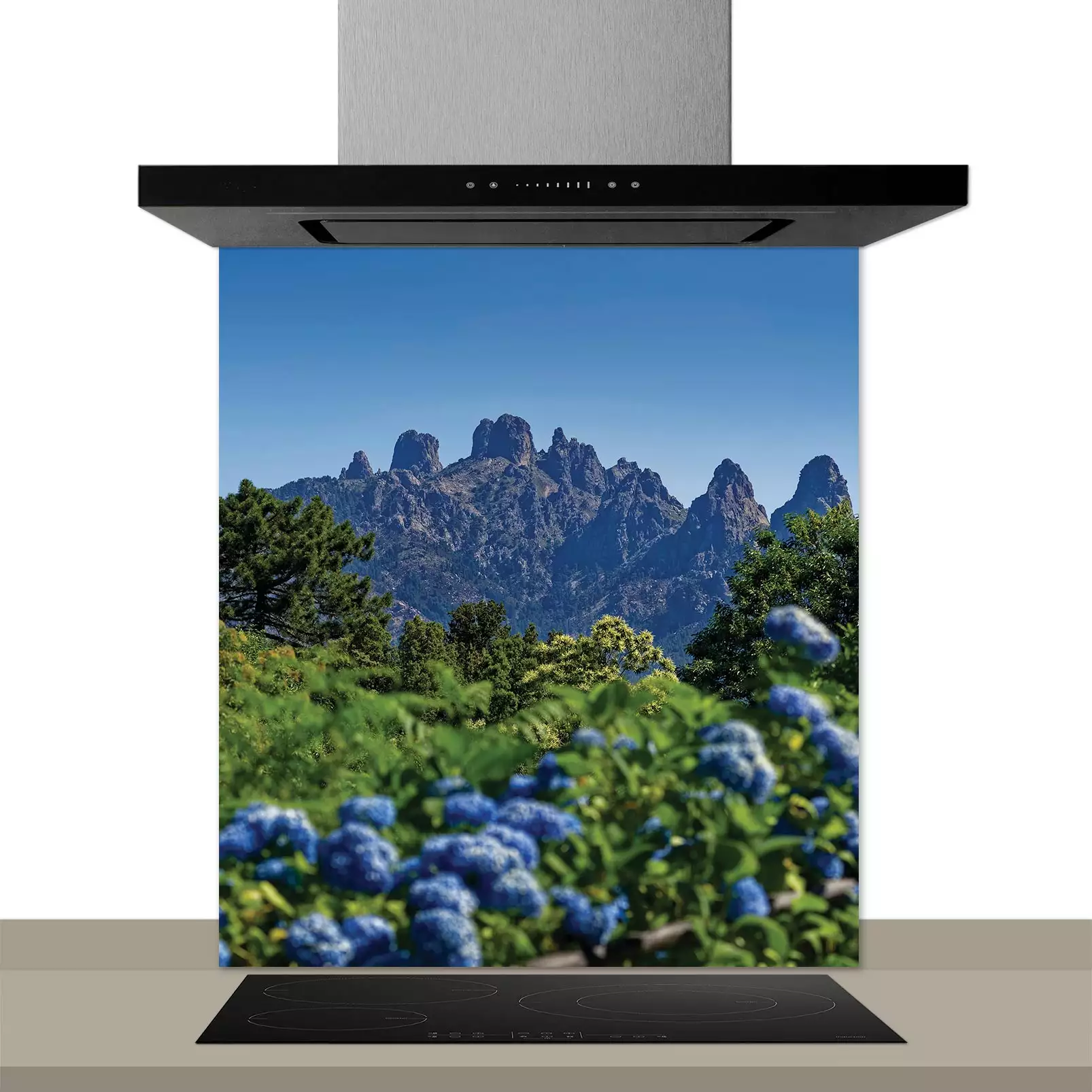fond-de-hotte-paysage-aiguille-de-bavella