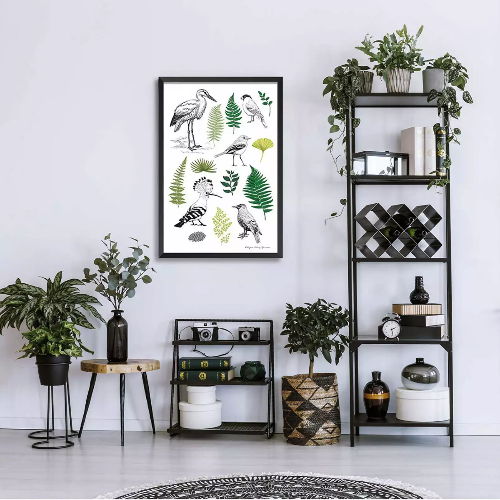 images-animaux-tableau-de-la-nature-i