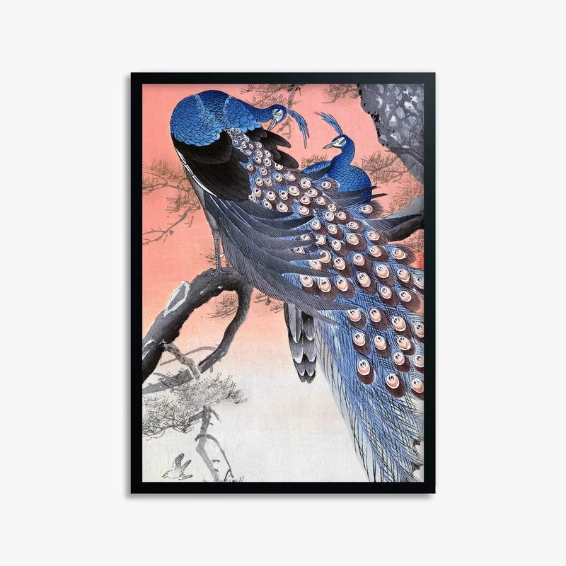 japandi1270670
