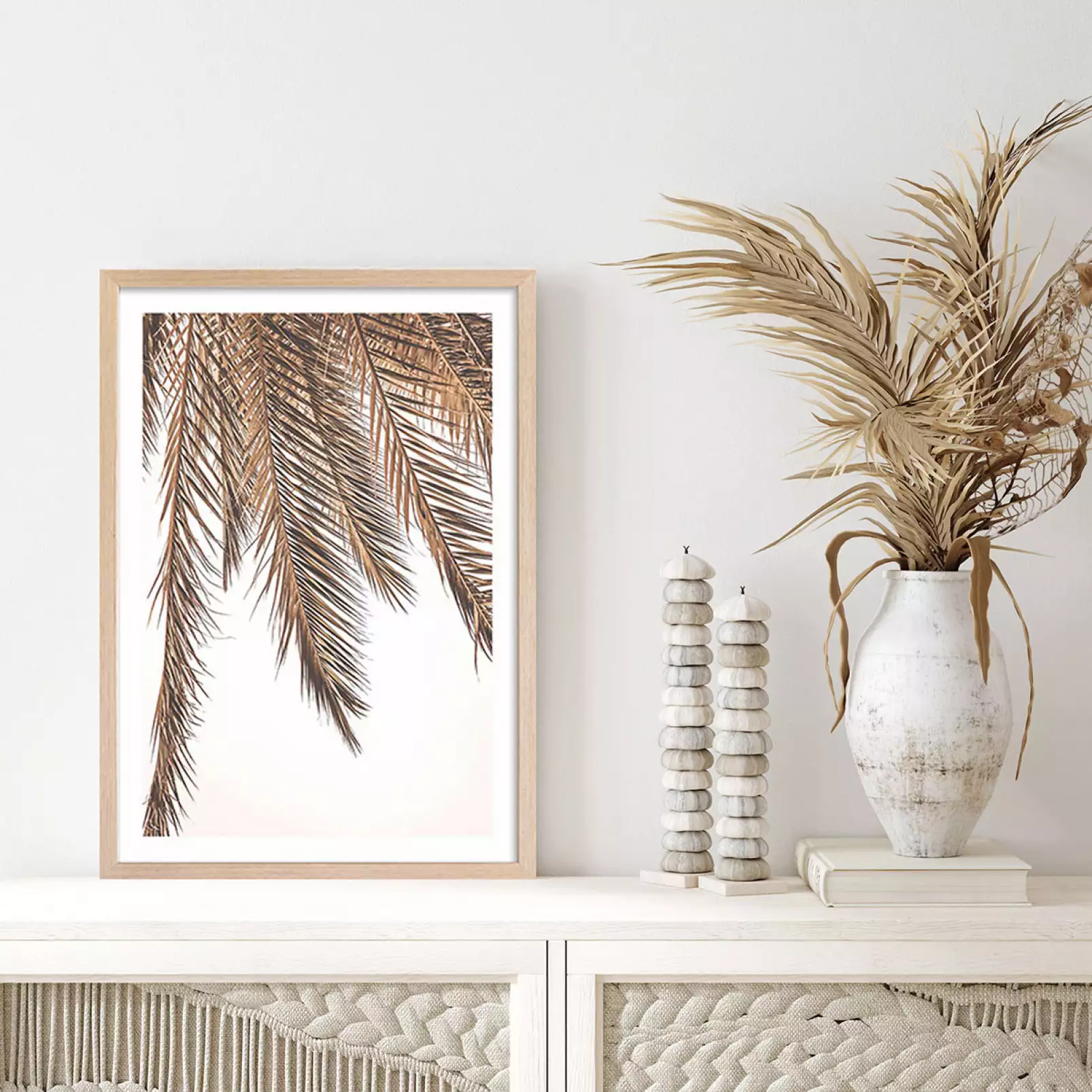 palmier-a-l-ombre