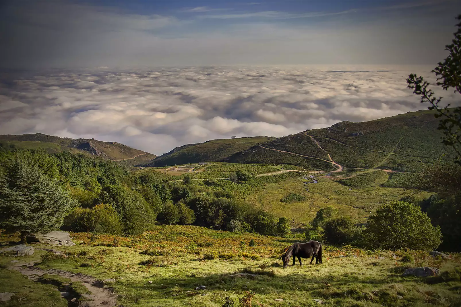 paysage-pyrenees-une-vue-depuis-la-rhune