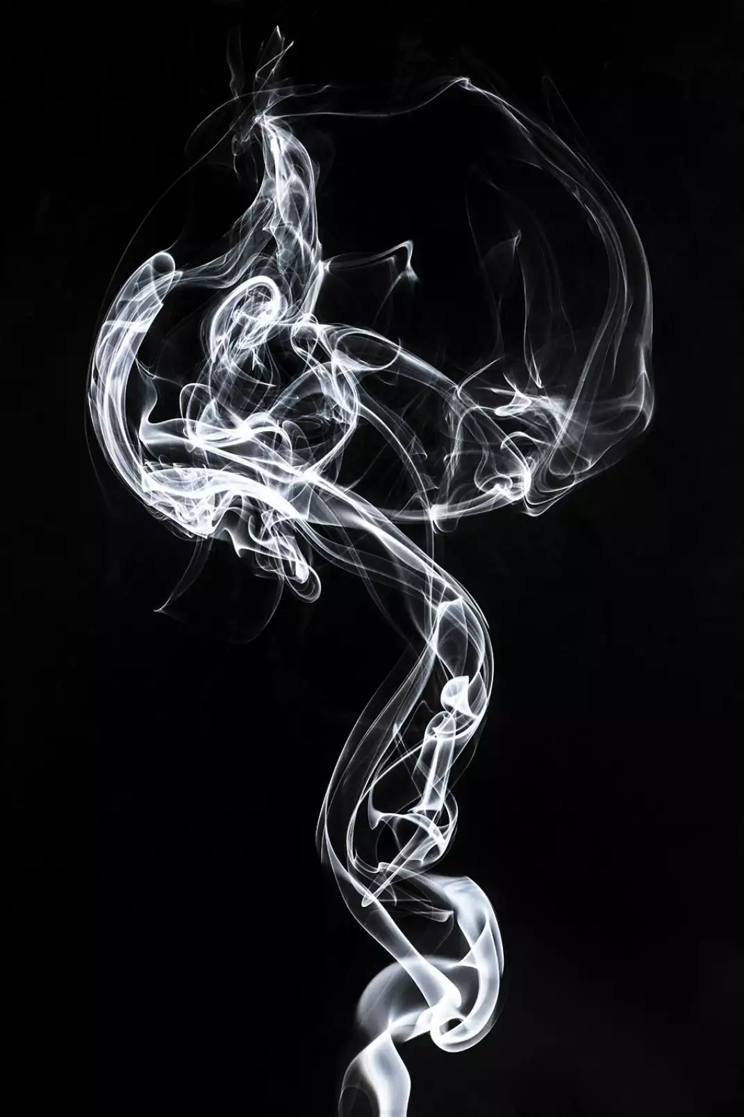 poster-design-white-smoke-medusa