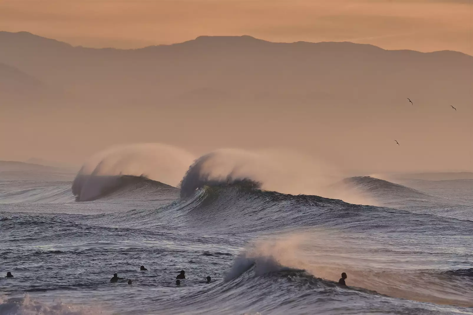poster-ocean-plage-hossegor-mouettes-au-pic