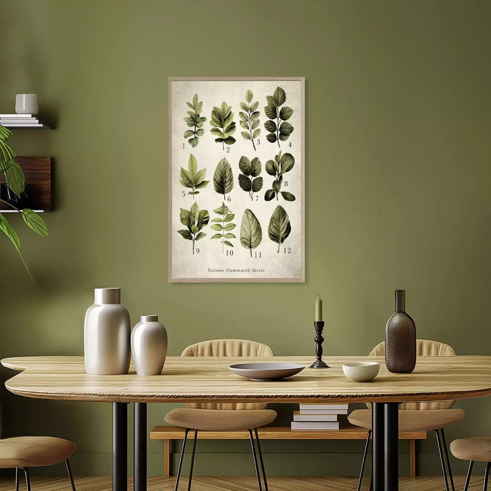 poster-plante-varietes-lumiere