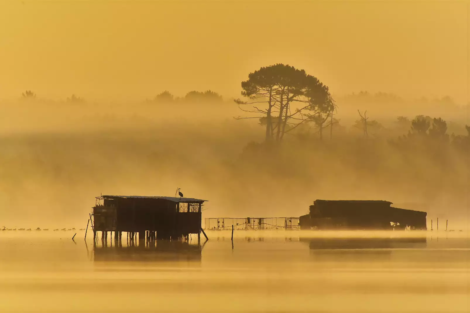 tableau-paysage-lac-cabanes-landaises