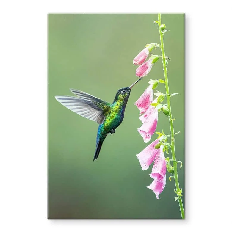 wall-art-1355485