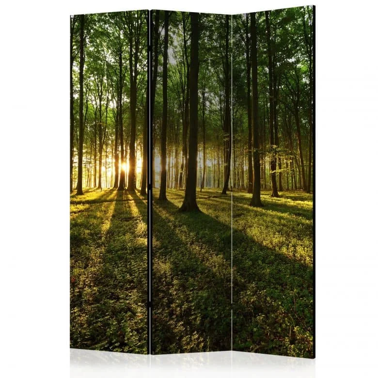 wall-art-1356305