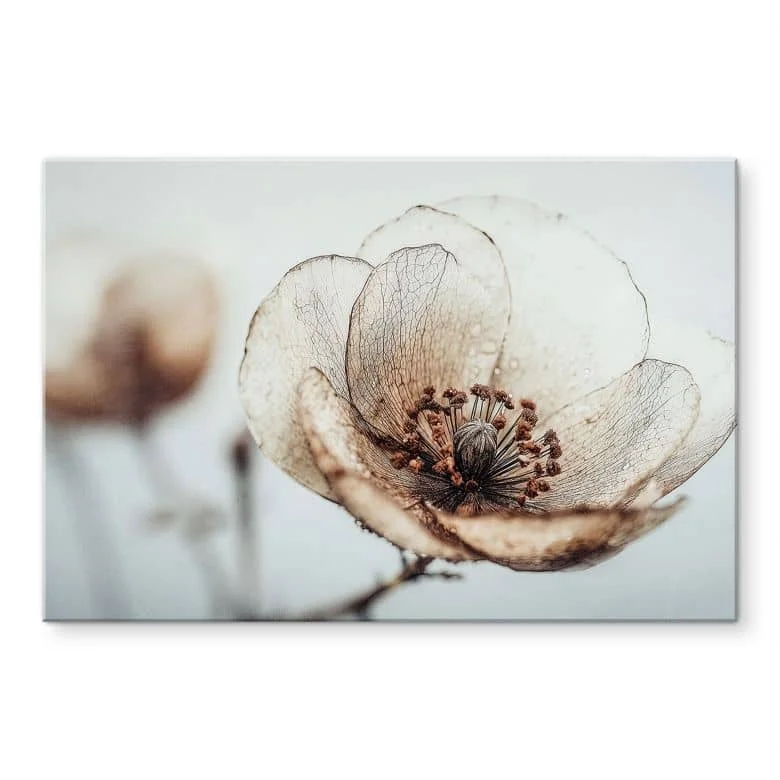 wall-art-1362663