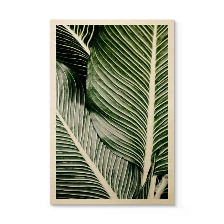 wall-art-1363364