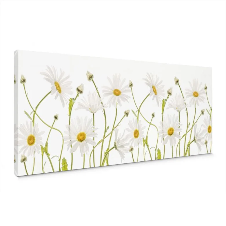 wall-art-1366290
