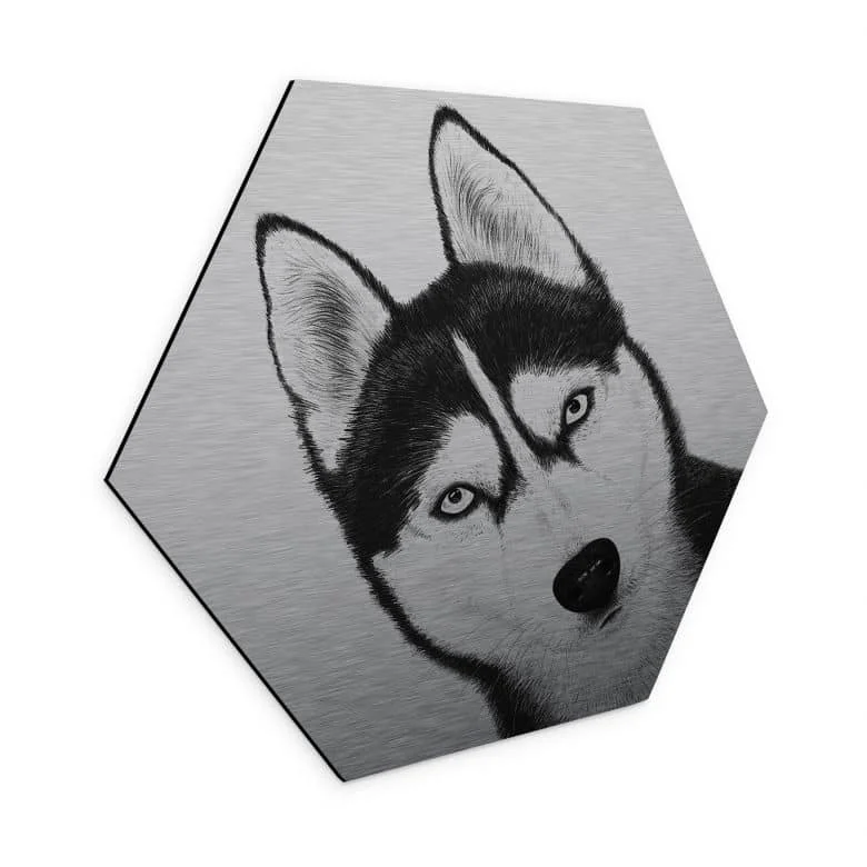 wall-art-1366450