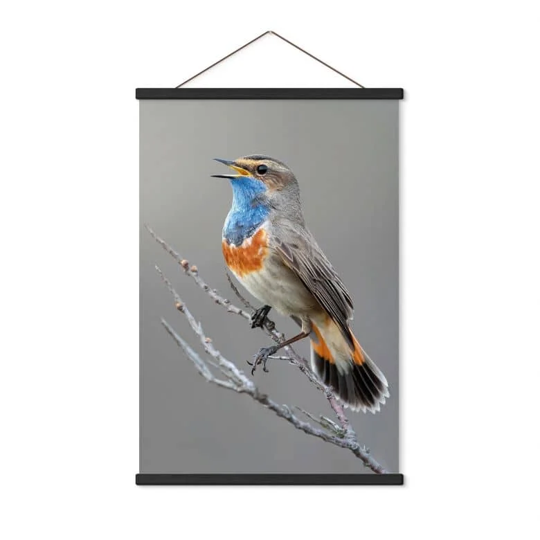 wall-art-1367030