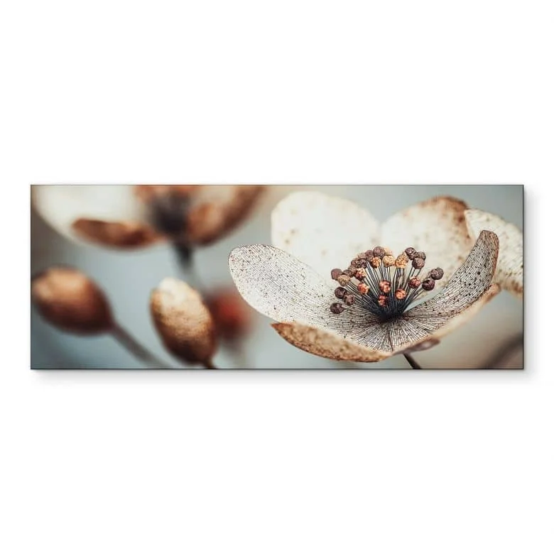 wall-art-1367181