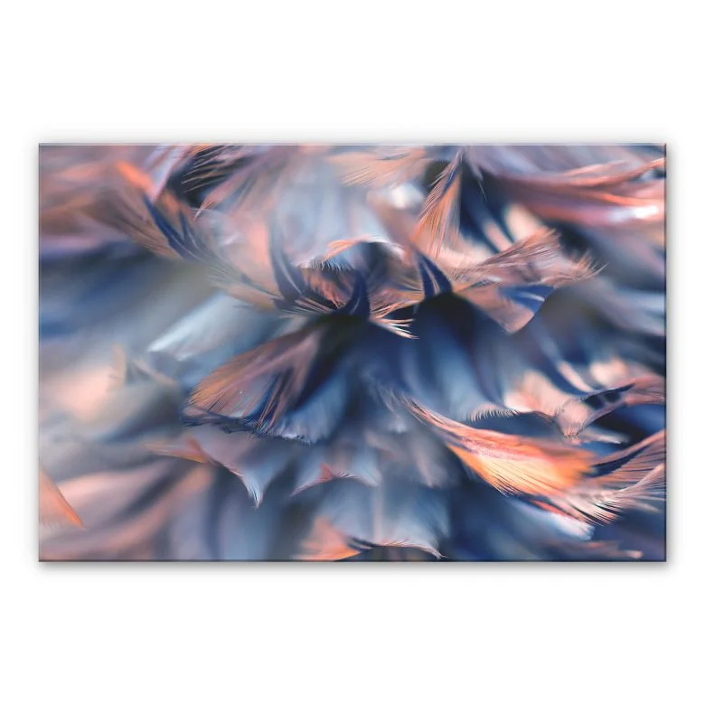 wall-art-1373411