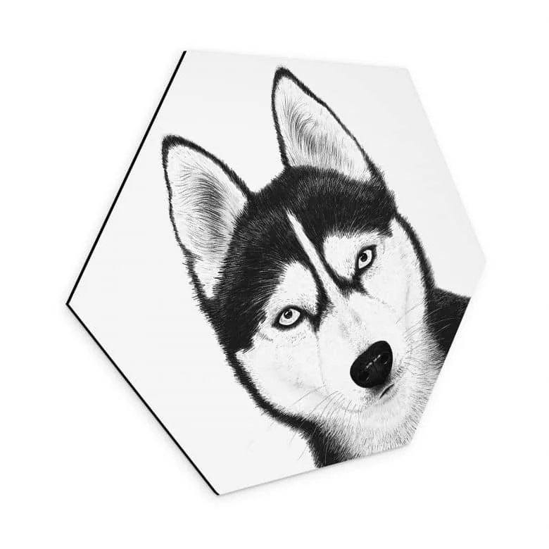 wall-art-1373497