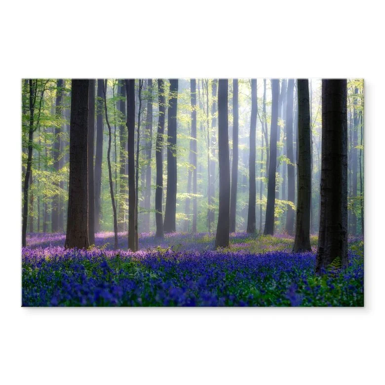 wall-art-1374062