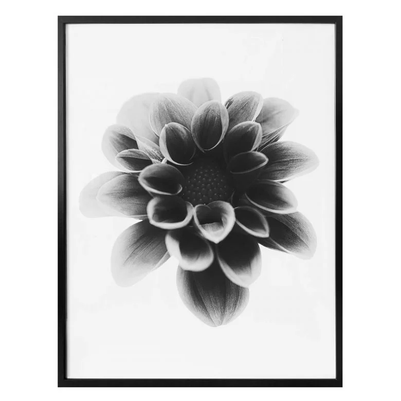 wall-art-1375440