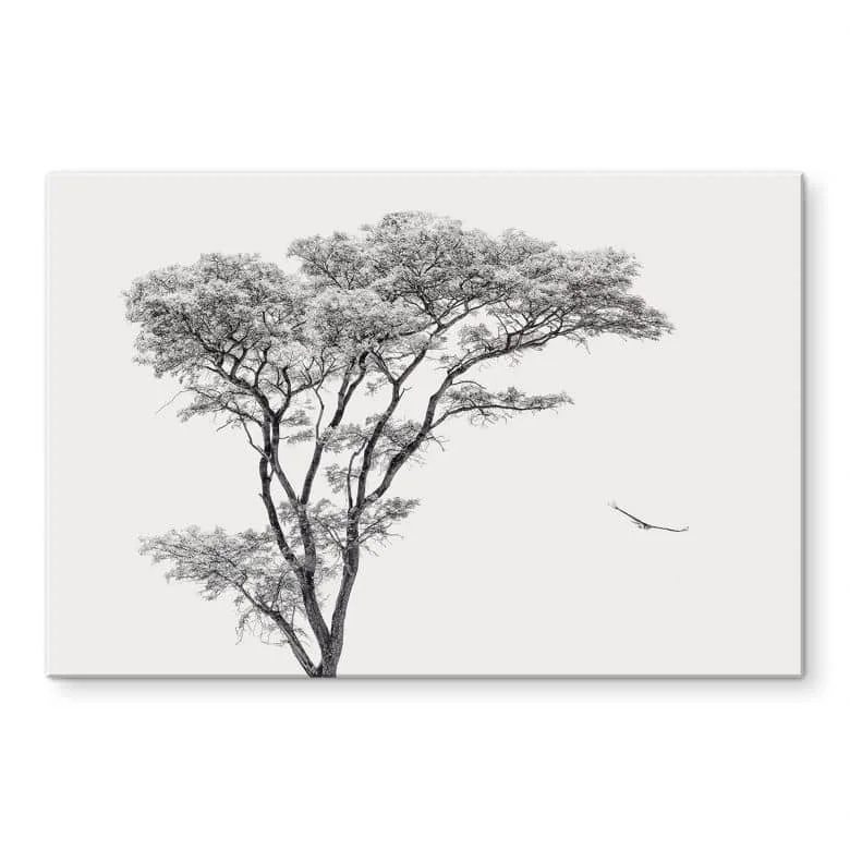wall-art-1375758