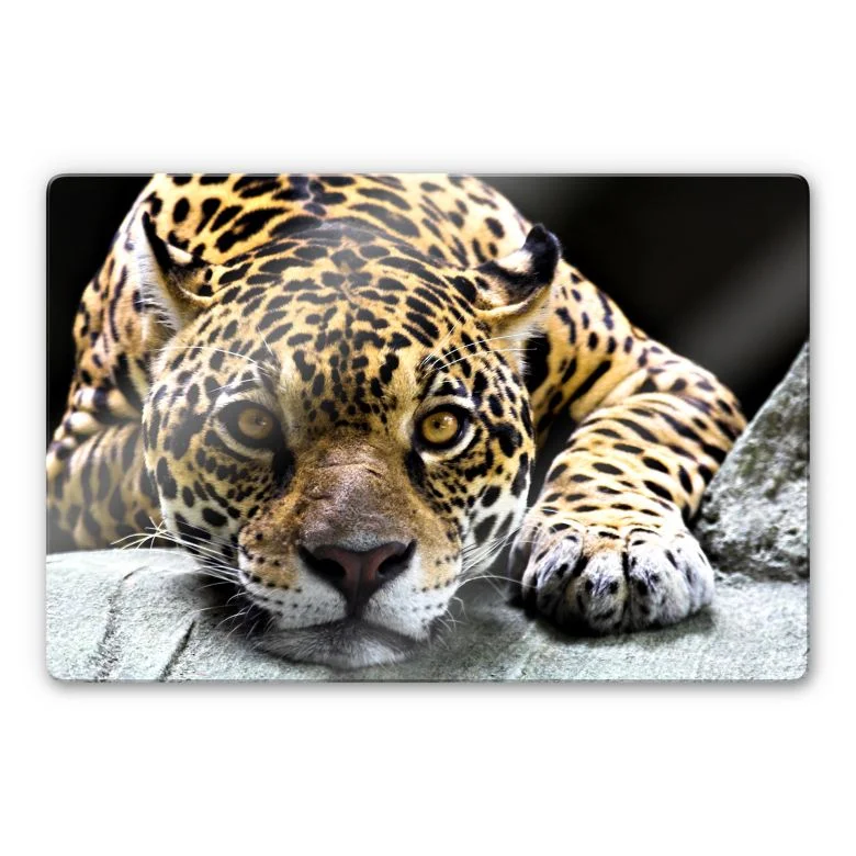 wall-art-1376352