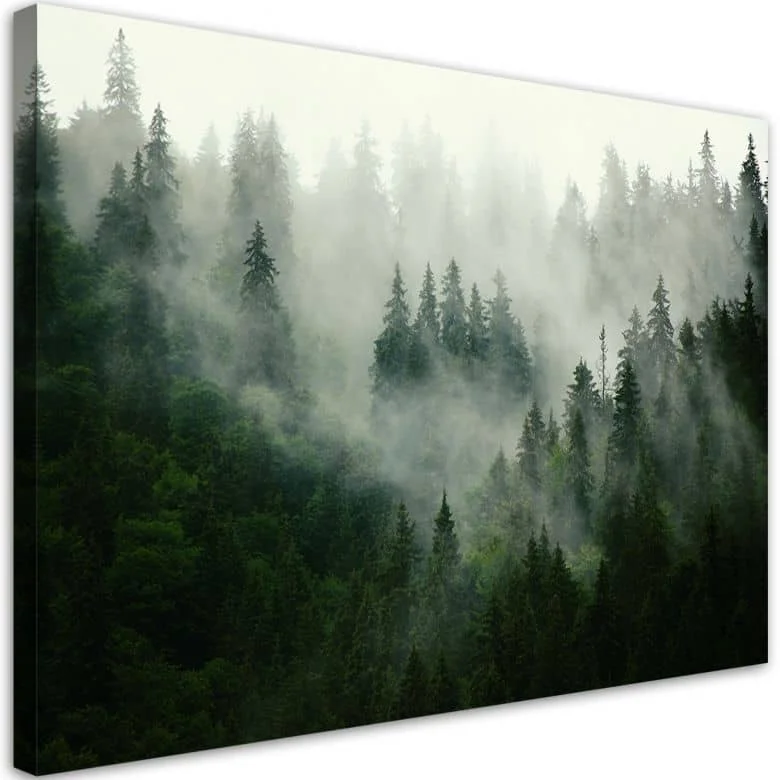 wall-art-1380086