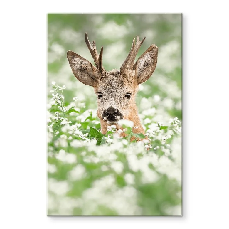 wall-art-1380574