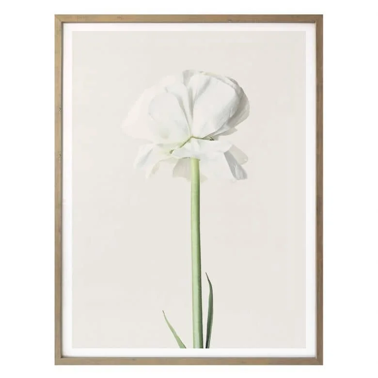 wall-art-1380595