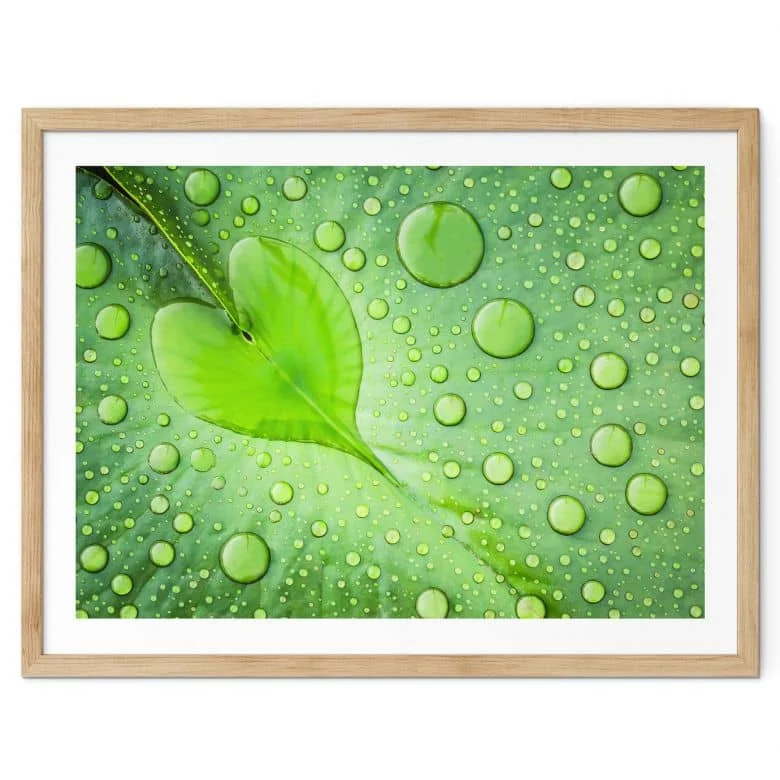 wall-art-1381383