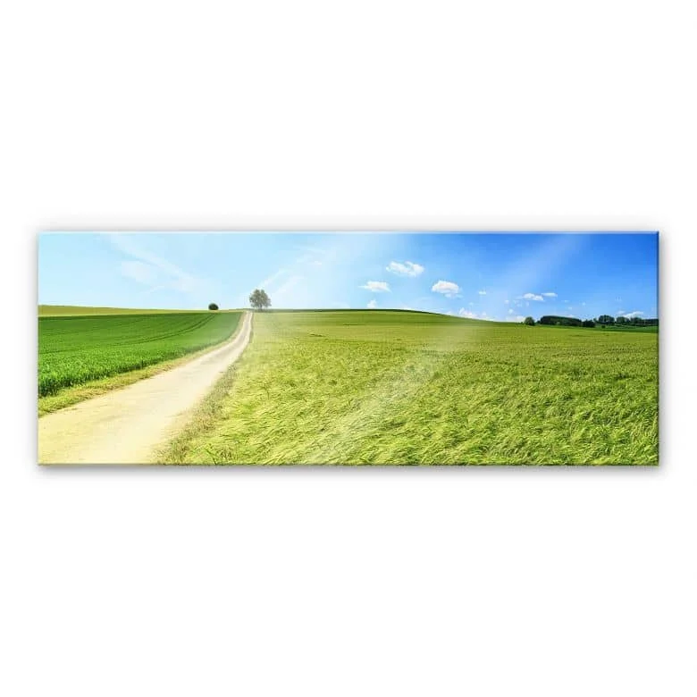 wall-art-1384348