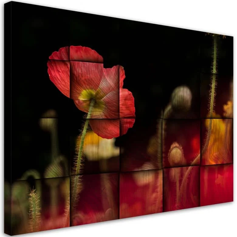 wall-art-1384604