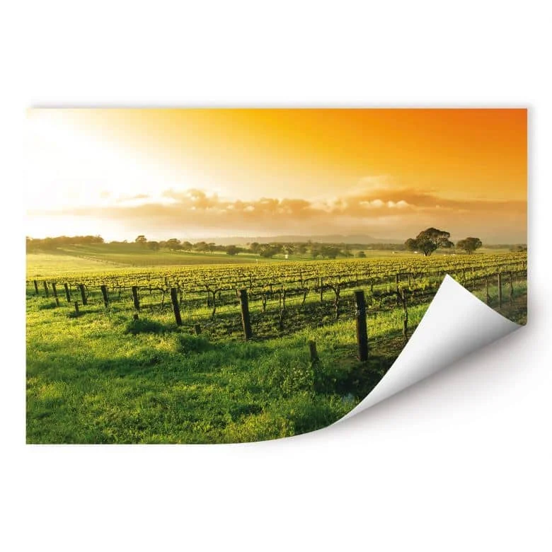 wall-art-1386554