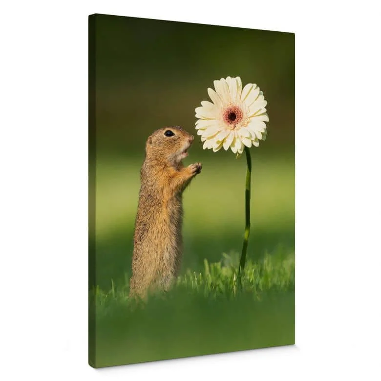 wall-art-1388709