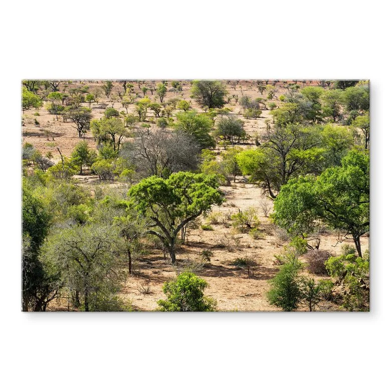 wall-art-1388926