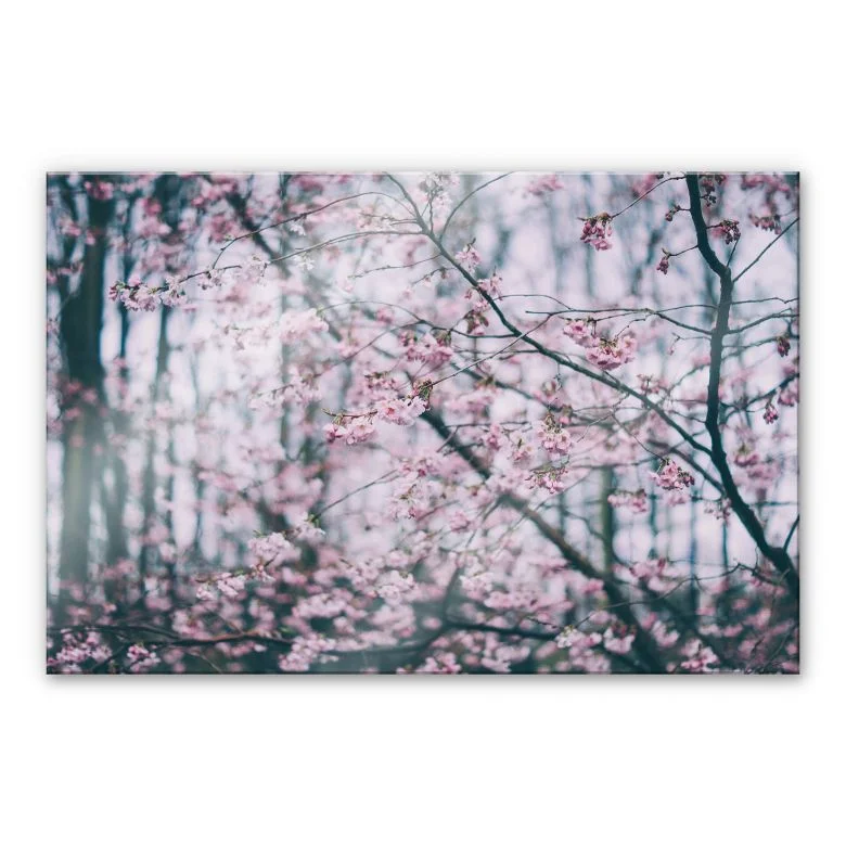 wall-art-1389402