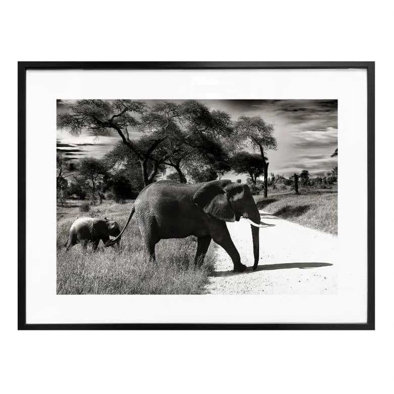 wall-art-1389589