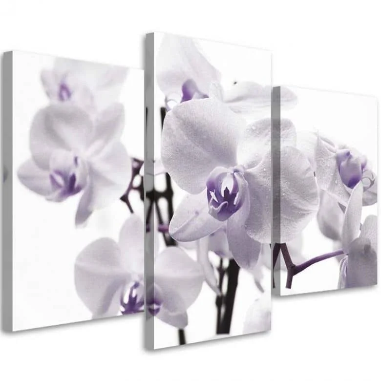wall-art-1390038