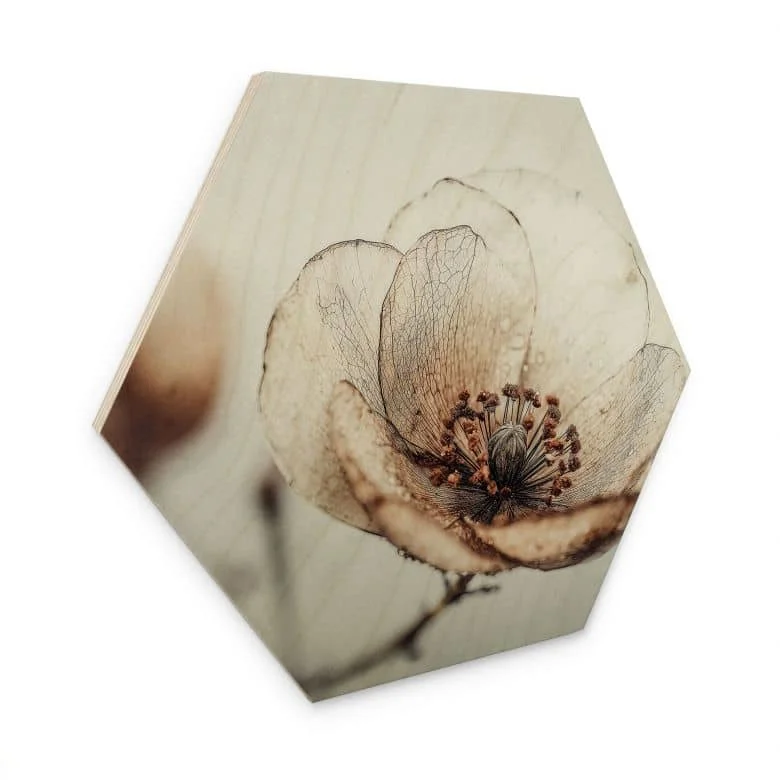 wall-art-1392528