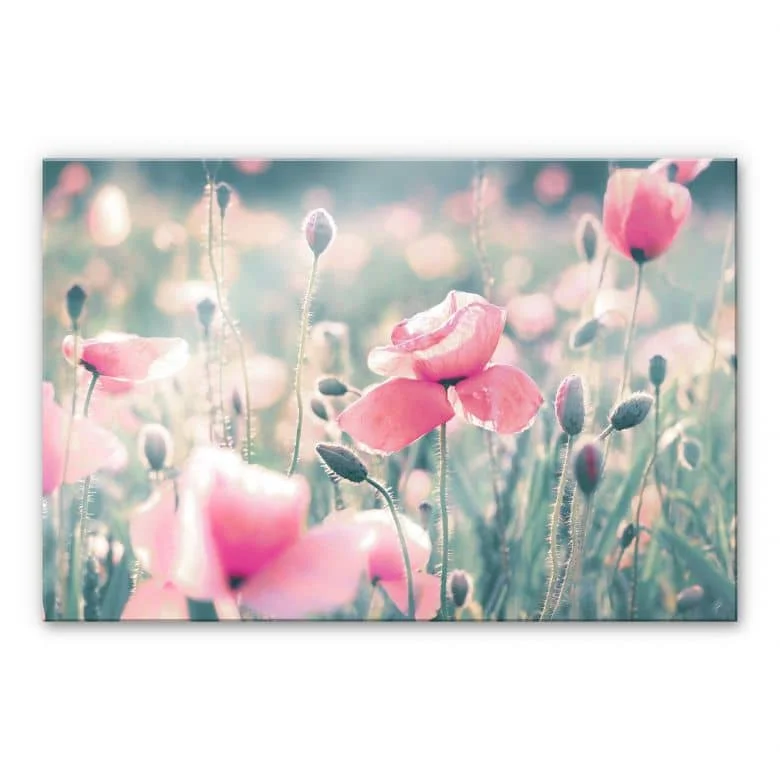 wall-art-1393987