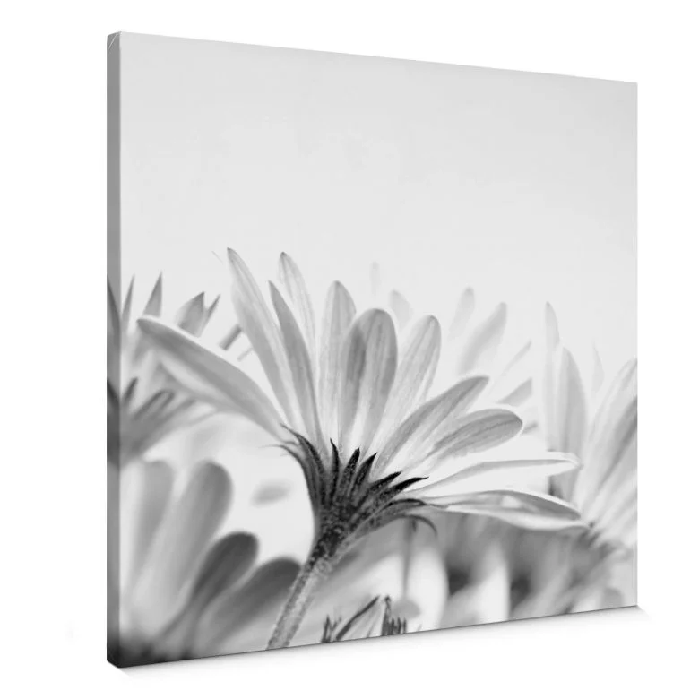 wall-art-1399154