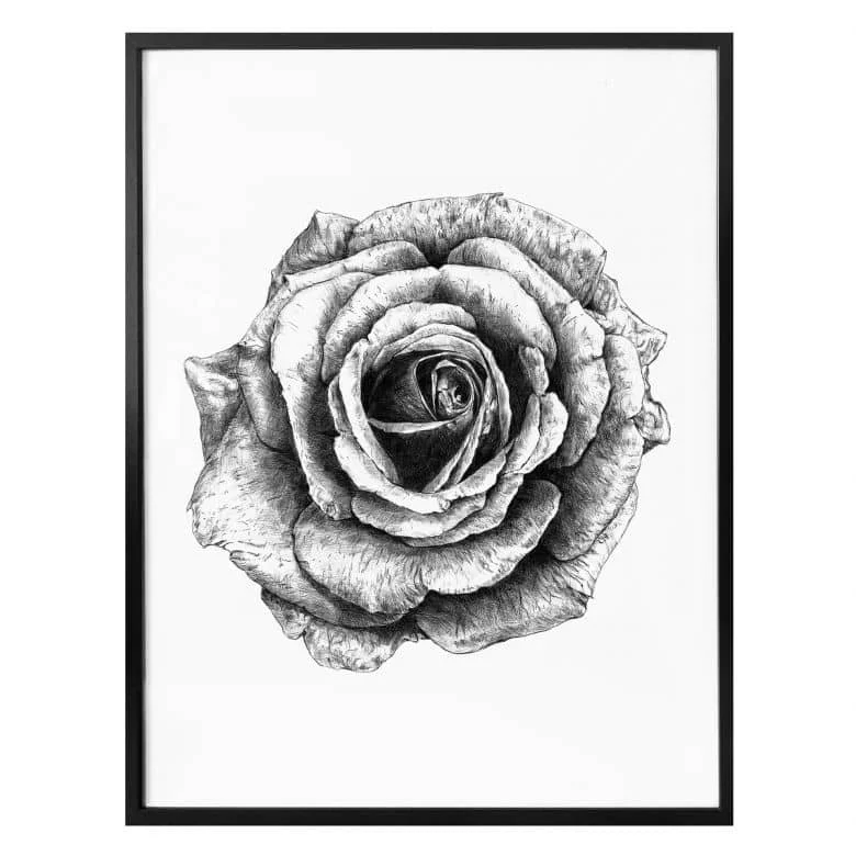wall-art-1413604