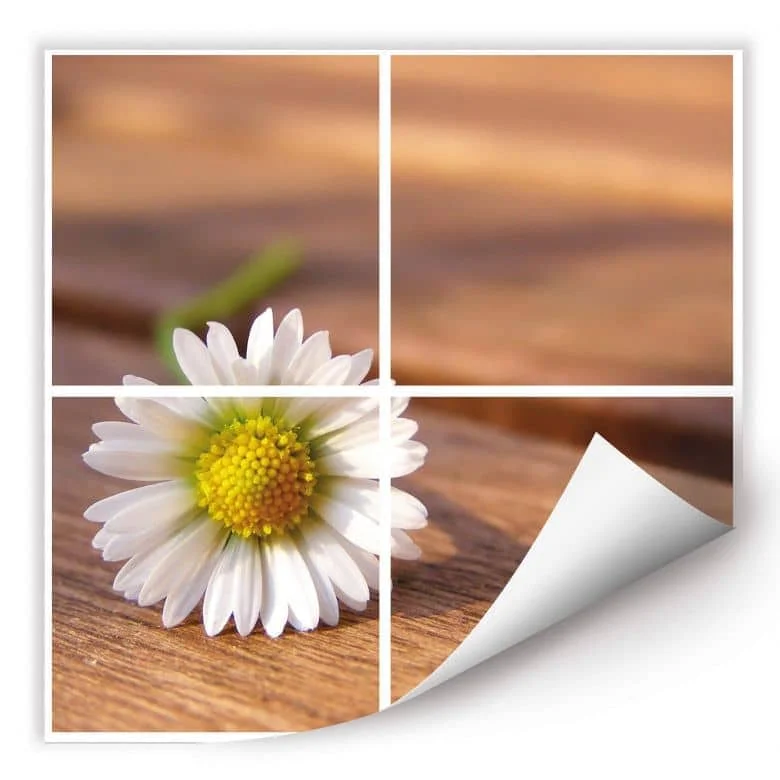 wall-art-1416024