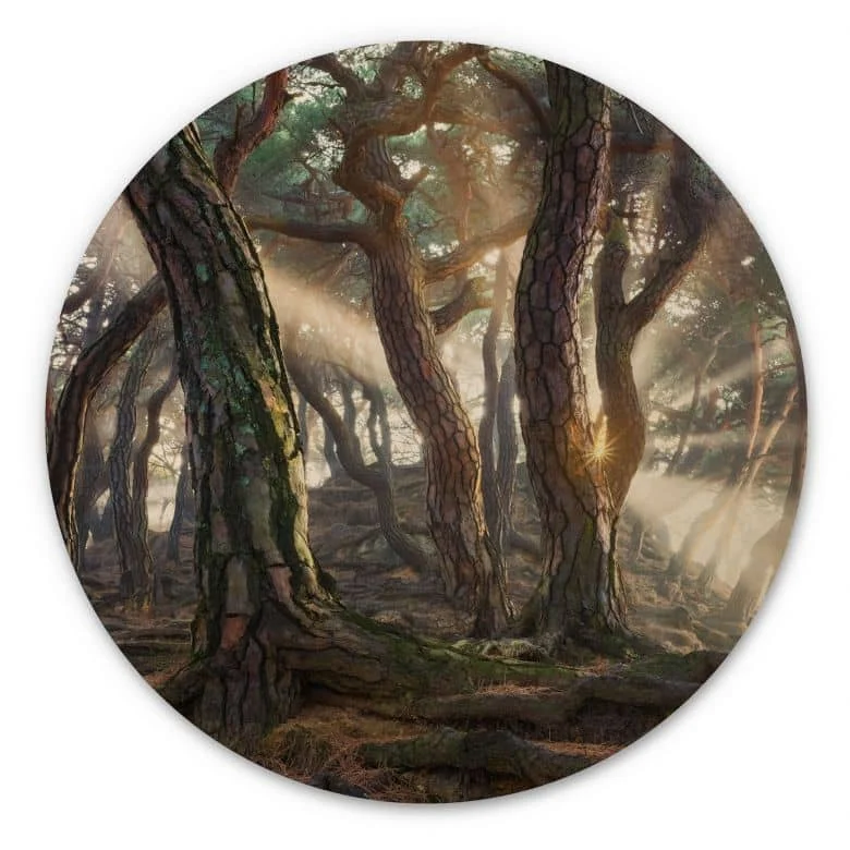 wall-art-1416643