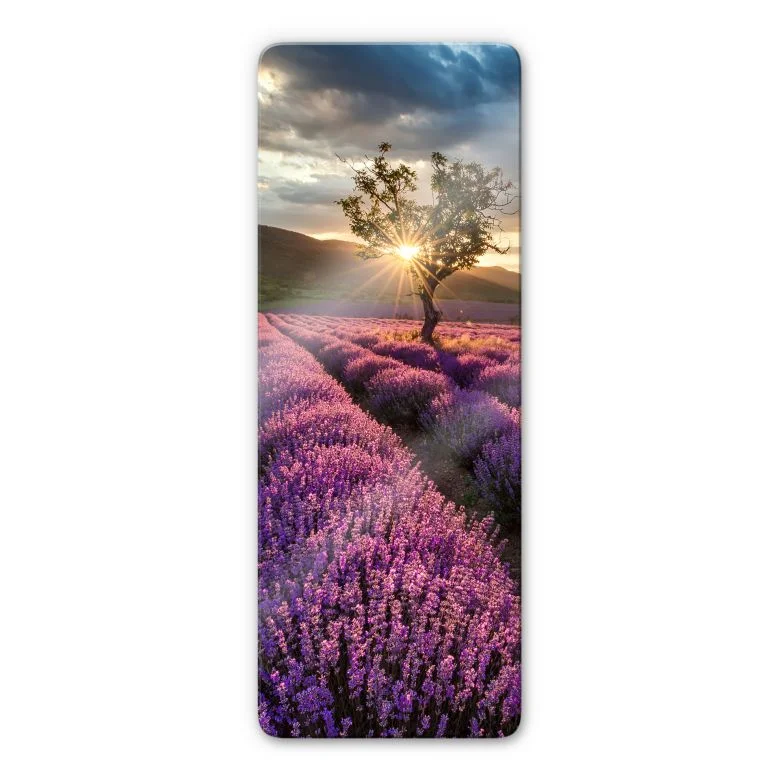 wall-art-1418774