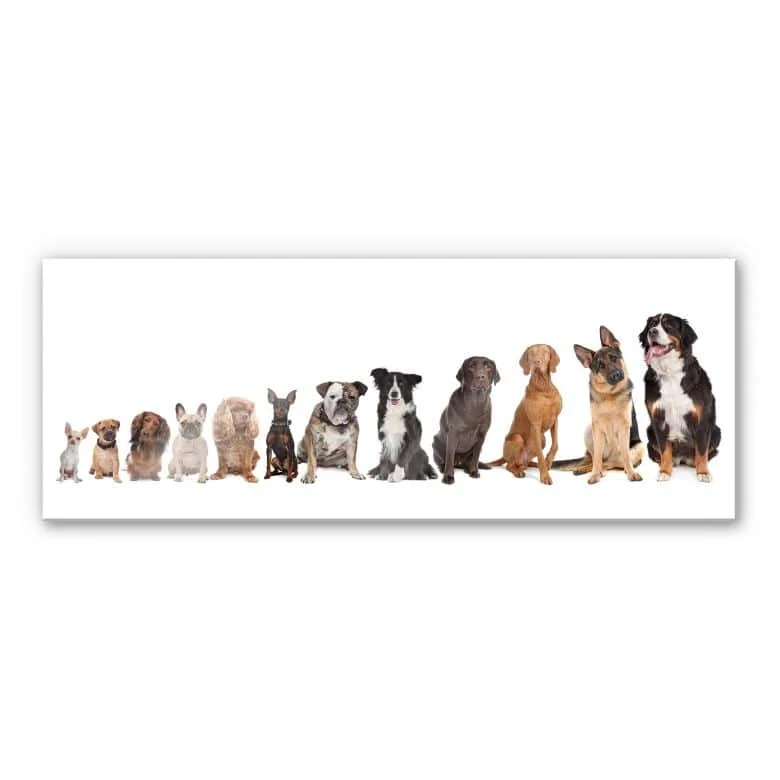 wall-art-1421205