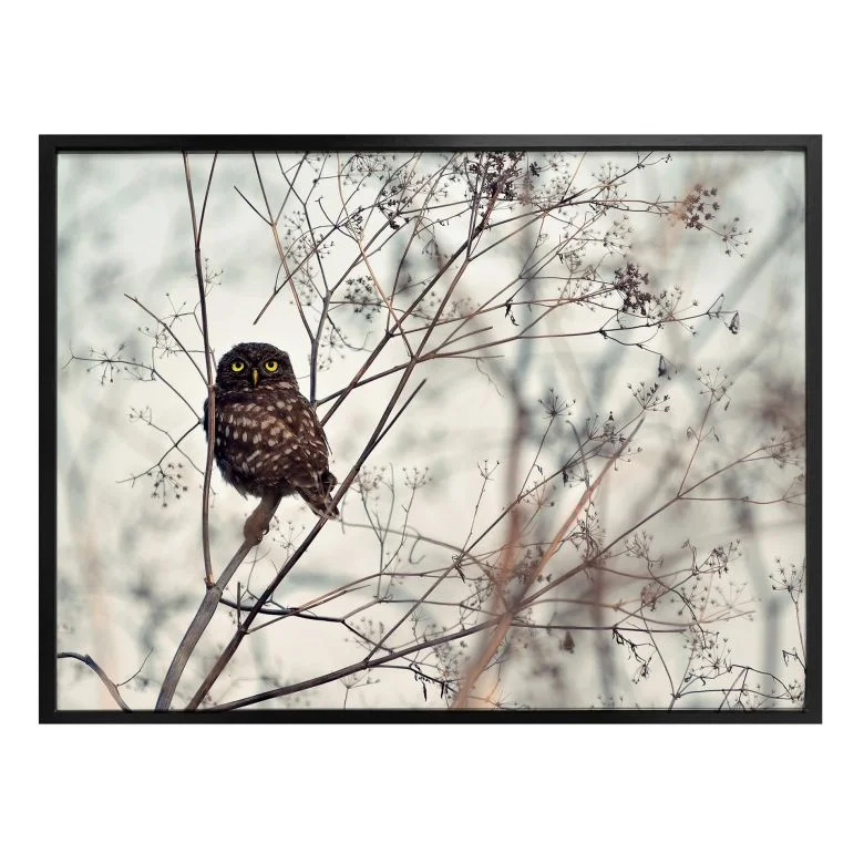 wall-art-1421402