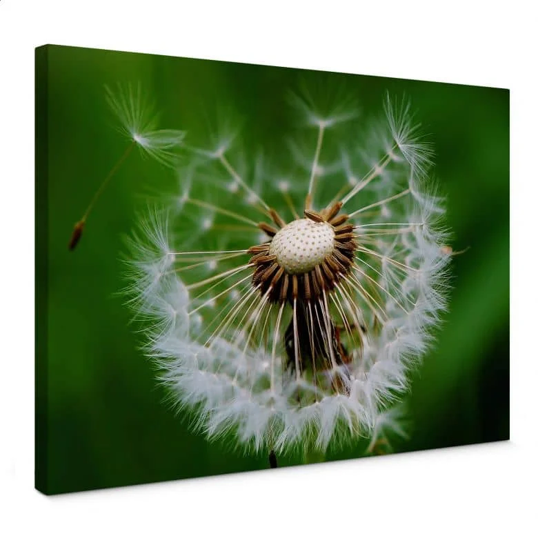 wall-art-1421607