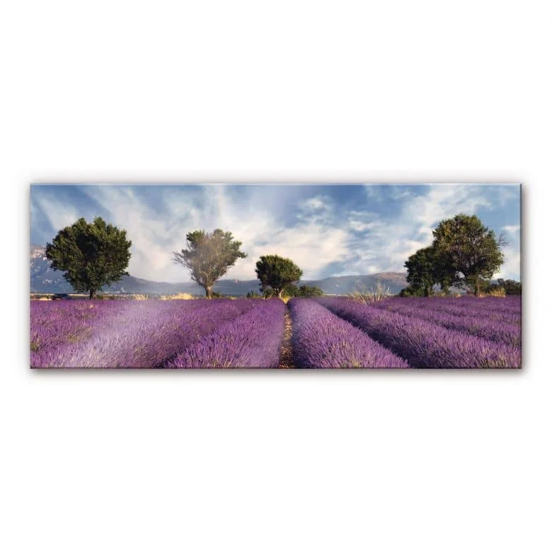 wall-art-1427729